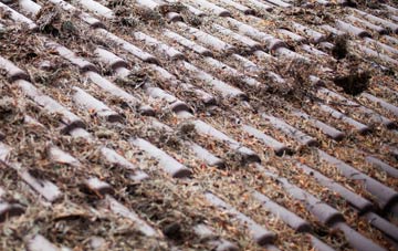 Ashen roof cleaning companies